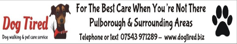For the best dog care in Pulborough!